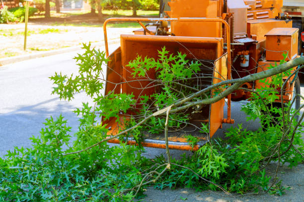 West Branch, IA Tree Care Services Company